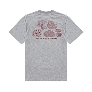 Hikerdelic 5 a Day T-Shirt in Grey Marl